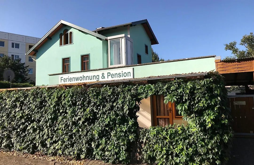 Pension Stepponat-1